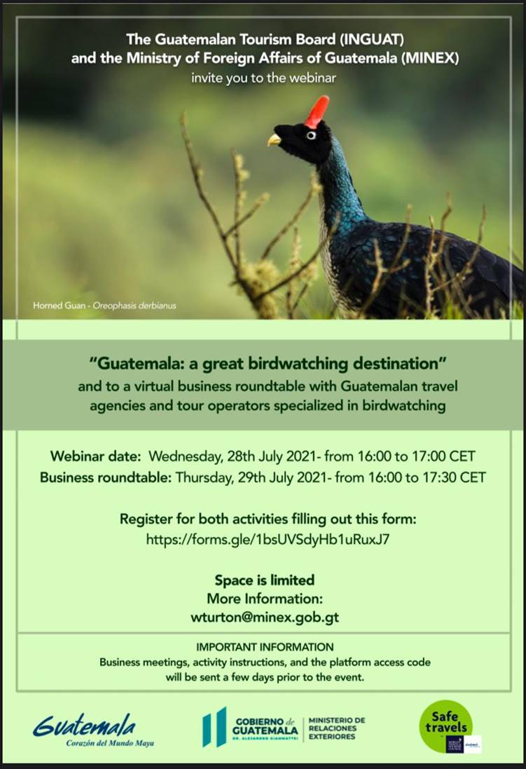 Bild Guatemala Webinar Orig