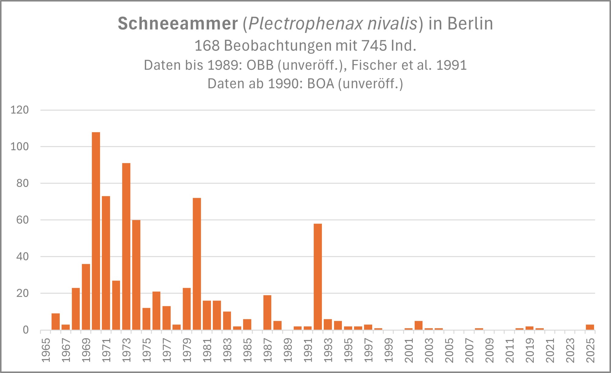 Schneeammer Beobachtungen in Berlin V5